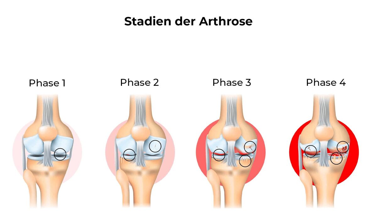Phasen.jpg